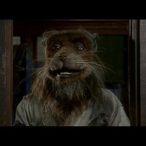 Meet your Posher, Robert